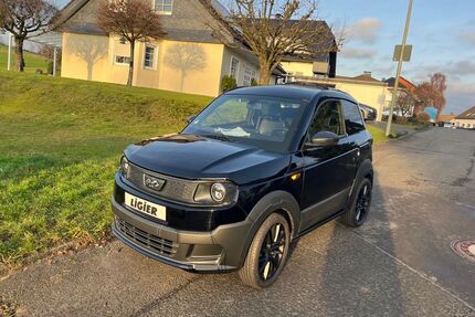 Ligier Myli Gebrauchtwagen