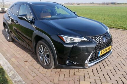 Lexus UX Gebrauchtwagen