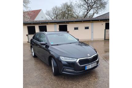 Skoda Octavia Gebrauchtwagen