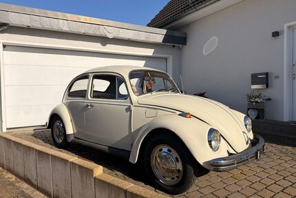 VW Käfer Gebrauchtwagen