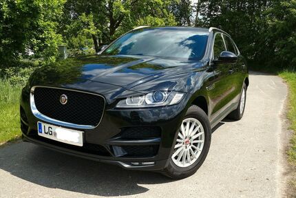 Jaguar F-Pace Gebrauchtwagen