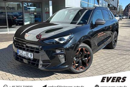 Cupra Terramar Gebrauchtwagen