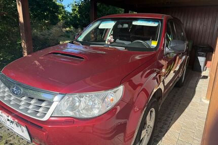 Subaru Forester Gebrauchtwagen