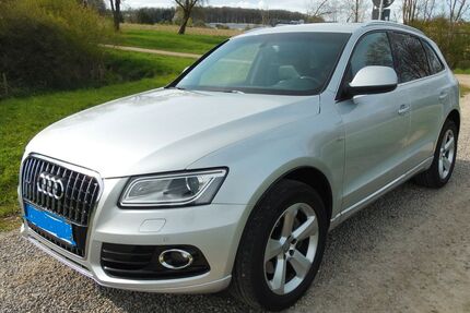 Audi Q5 Gebrauchtwagen