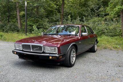 Jaguar XJ40 Gebrauchtwagen