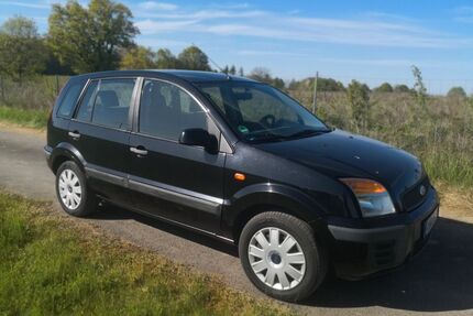Ford Fusion Gebrauchtwagen