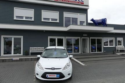 Ford Fiesta Gebrauchtwagen