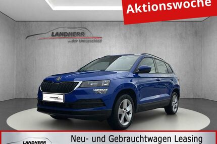 Skoda Karoq Gebrauchtwagen
