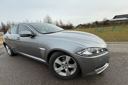 Jaguar XF Gebrauchtwagen