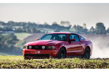Ford Mustang Gebrauchtwagen