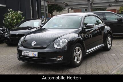 VW Beetle Gebrauchtwagen