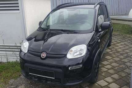 Fiat Panda Gebrauchtwagen