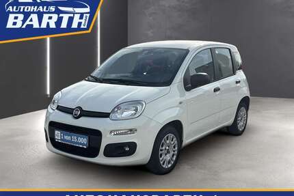 Fiat Panda Gebrauchtwagen