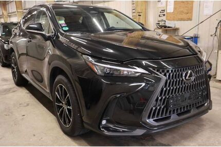 Lexus NX 350h Gebrauchtwagen