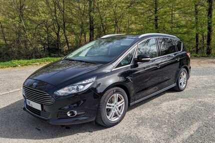 Ford S-Max Gebrauchtwagen