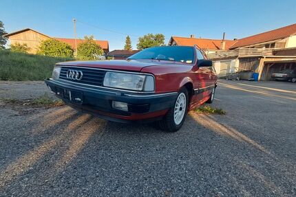 Audi 100 Gebrauchtwagen