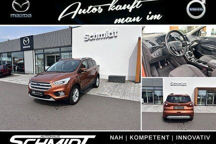 Ford Kuga Gebrauchtwagen