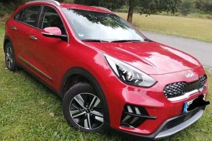 Kia Niro Gebrauchtwagen