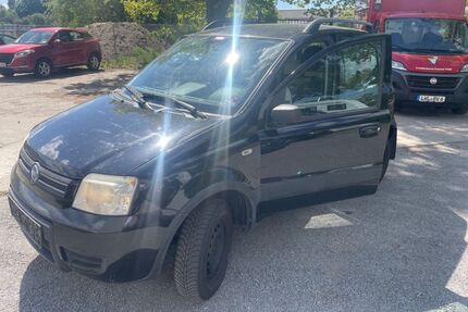 Fiat Panda Gebrauchtwagen