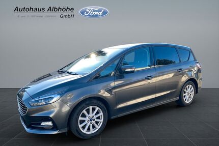 Ford S-Max Gebrauchtwagen