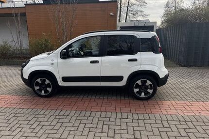 Fiat Panda Gebrauchtwagen