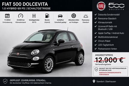 Fiat 500 Gebrauchtwagen