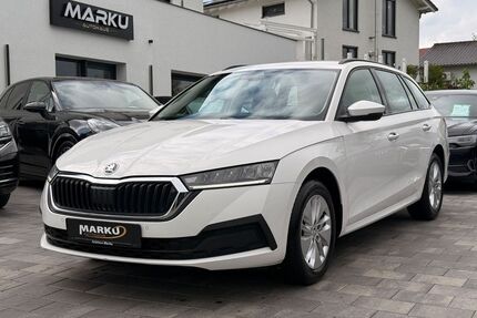 Skoda Octavia Gebrauchtwagen