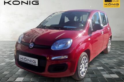 Fiat Panda Gebrauchtwagen