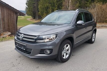 VW Tiguan Gebrauchtwagen