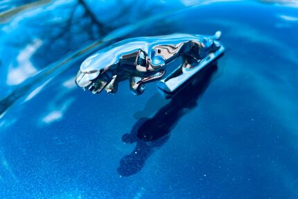 Jaguar XJ Gebrauchtwagen