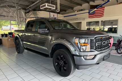 Ford F 150 Gebrauchtwagen