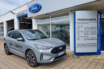 Ford Kuga Gebrauchtwagen