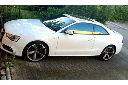 Audi S5 Gebrauchtwagen