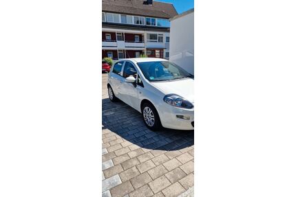 Fiat Punto Gebrauchtwagen