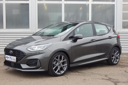 Ford Fiesta Gebrauchtwagen