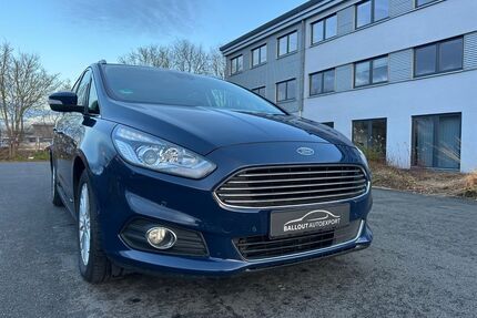 Ford S-Max Gebrauchtwagen