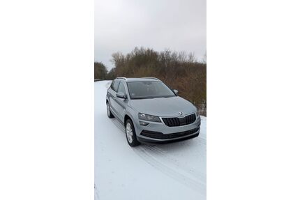 Skoda Karoq Gebrauchtwagen