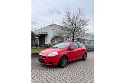 Fiat Punto Gebrauchtwagen