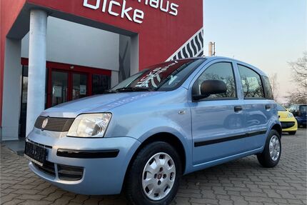 Fiat Panda Gebrauchtwagen