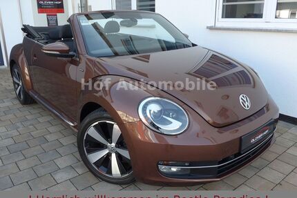 VW Beetle Gebrauchtwagen