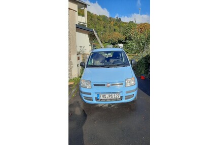 Fiat Panda Gebrauchtwagen