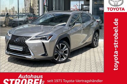 Lexus UX Gebrauchtwagen