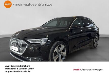 Audi e-tron Gebrauchtwagen