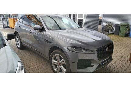 Jaguar F-Pace Gebrauchtwagen
