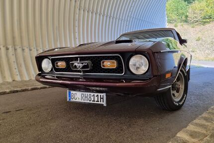 Ford Mustang Gebrauchtwagen