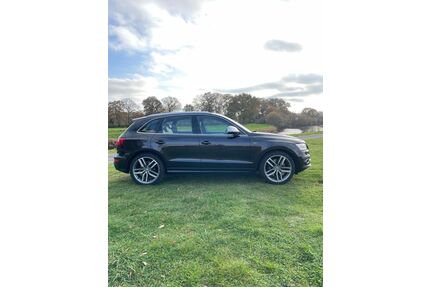 Audi SQ5 Gebrauchtwagen