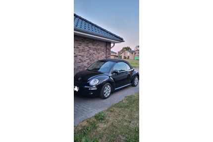 VW Beetle Gebrauchtwagen