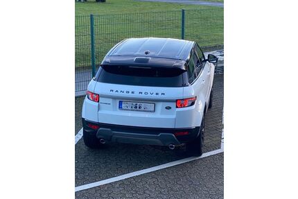 Land Rover Range Rover Evoque Gebrauchtwagen