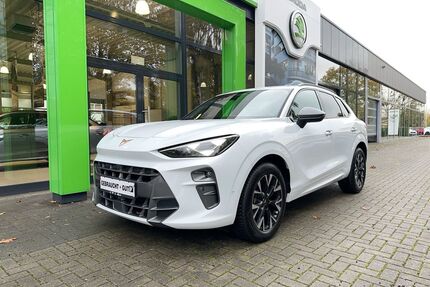 Cupra Terramar Gebrauchtwagen