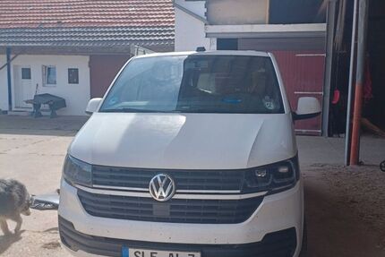 VW T6 andere Gebrauchtwagen